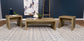 Lynette 3-piece Rectangular Coffee and End Table Set Mango