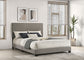 Dorian Fabric Upholstered Queen Panel Bed Taupe