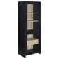 Denison 67-inch 2-door Media Tower Storage Cabinet Black